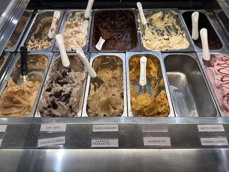 Cheeks & Bean Gelato Co. photo 3