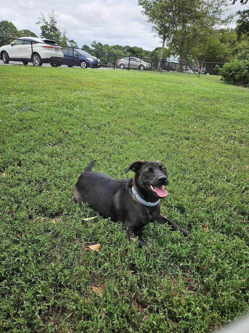 Cherry Avenue Dog Park photo 2