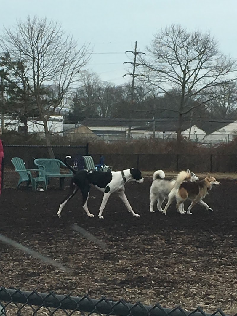 Cherry Avenue Dog Park photo 3