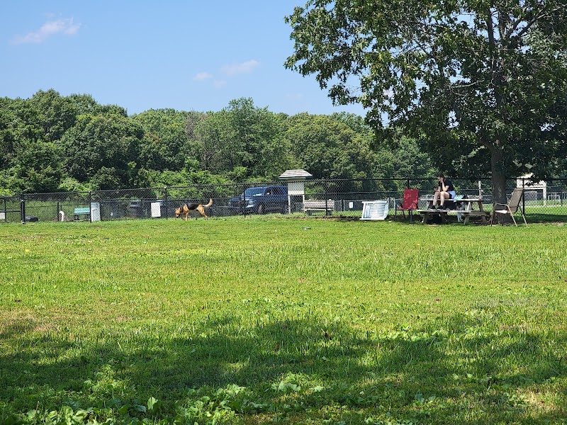 Cherry Avenue Dog Park photo 4
