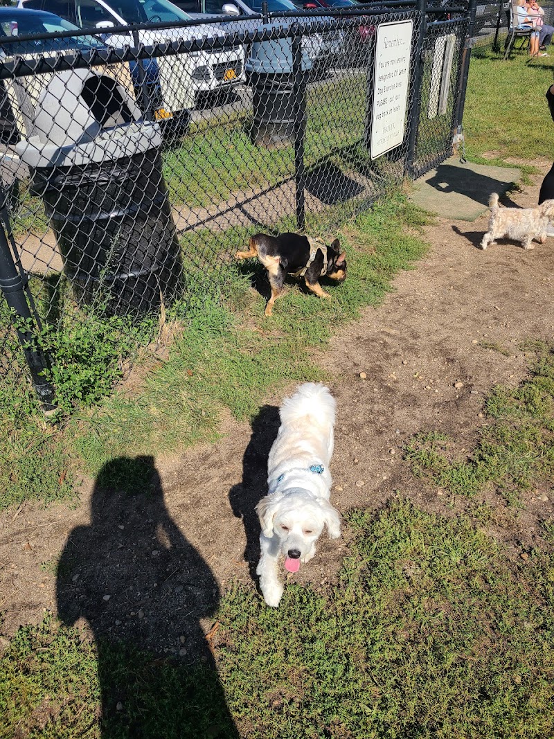 Cherry Avenue Dog Park photo 5