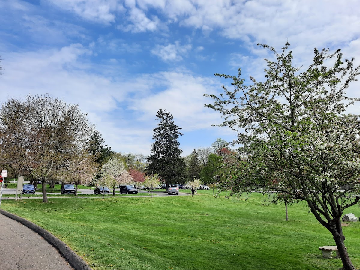 Cherry Lawn Park photo 3