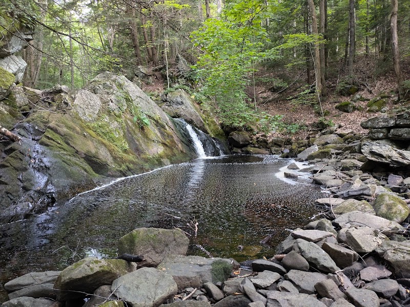 Cherry Plain State Park photo 3