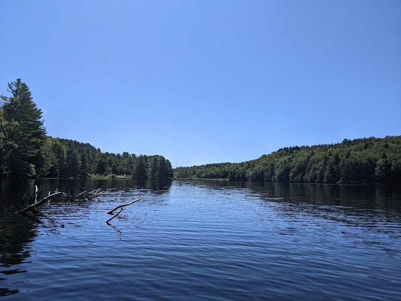 Cherry Plain State Park photo 4