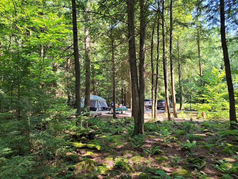 Cherry Plain State Park photo 5