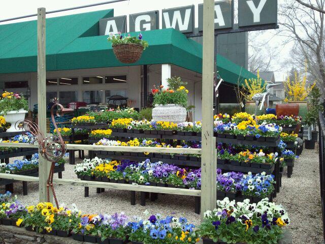 Chick's Southold Agway photo 5