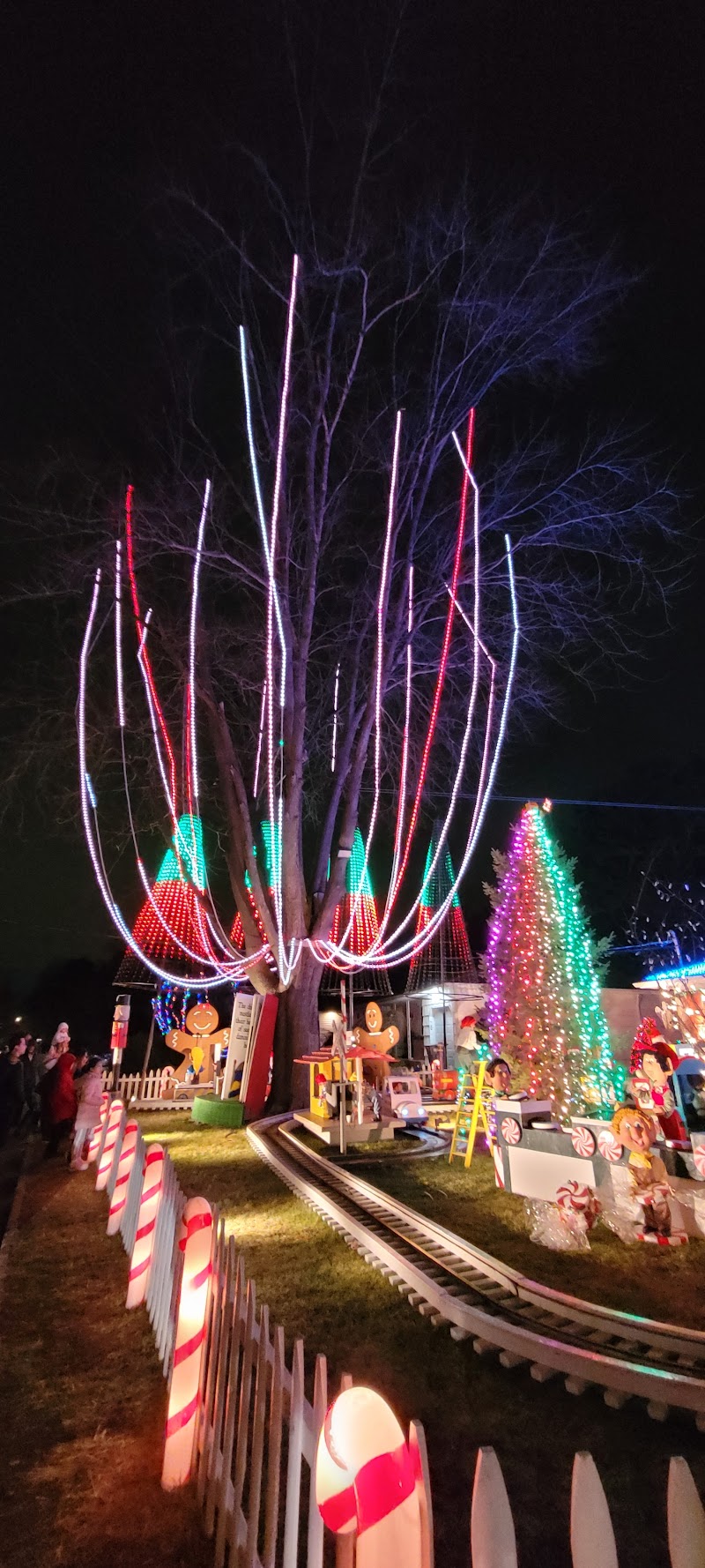 Christmas Lights Tour photo 3