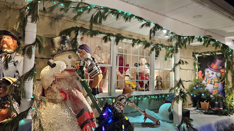Christmas Lights Tour photo 4