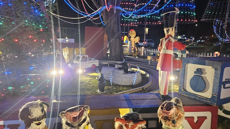 Christmas Lights Tour photo 5