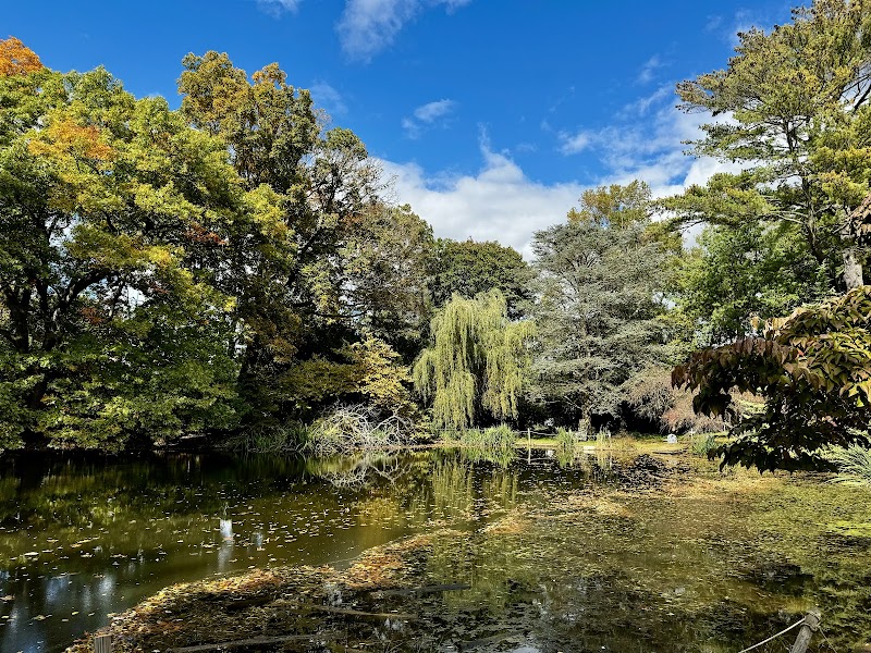 Clark Botanic Gardens photo 3