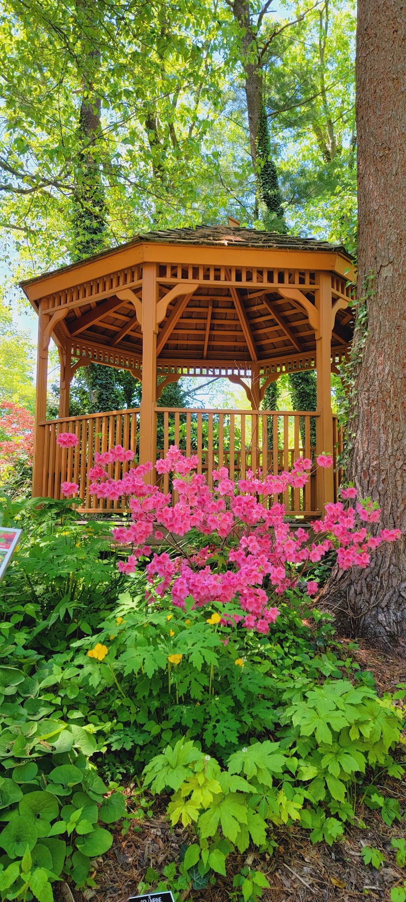 Clark Botanic Gardens photo 5