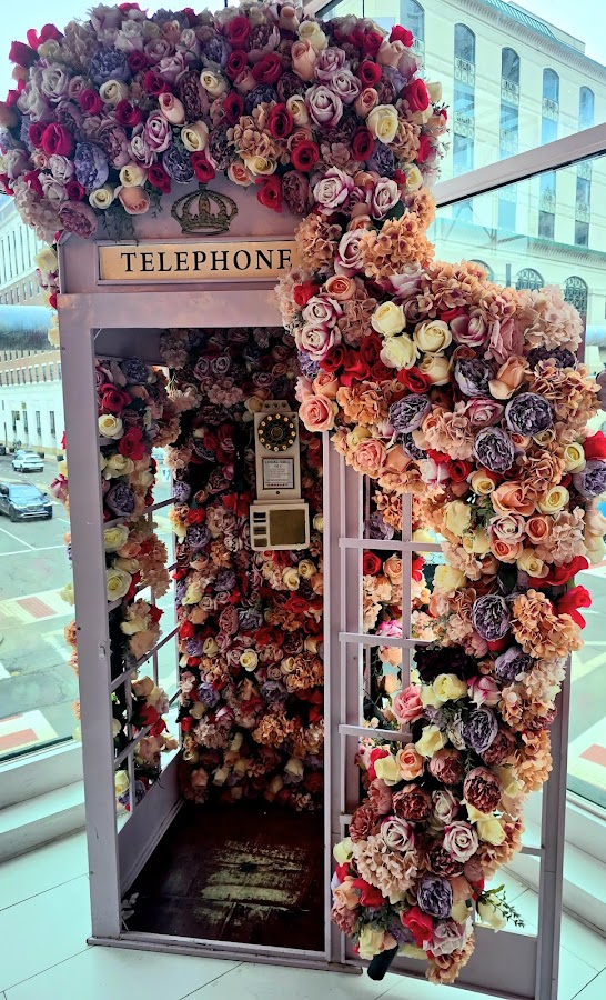 Coco Cafe Stamford photo 5