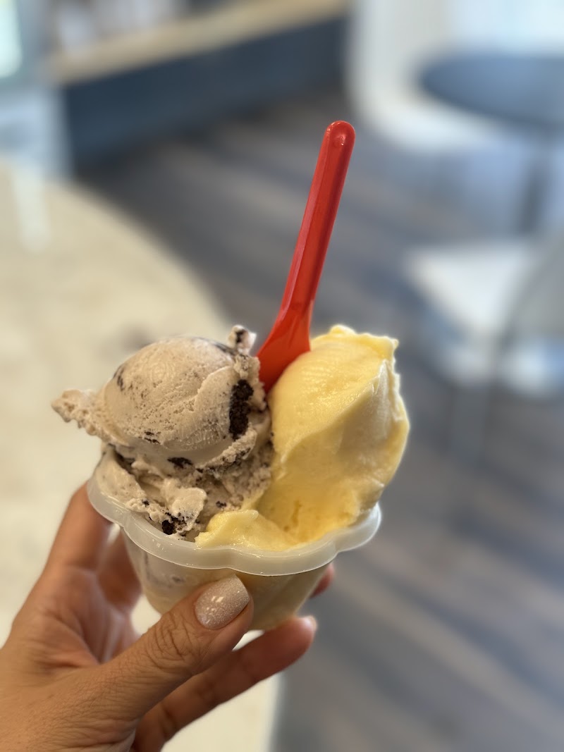 Cold Fusion Gelato photo 2