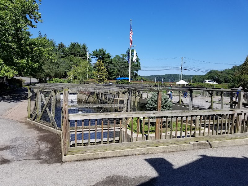 Cold Spring Harbor Fish Hatchery & Aquarium photo 2