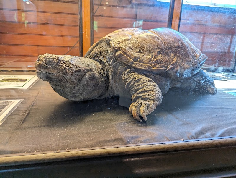 Cold Spring Harbor Fish Hatchery & Aquarium photo 4