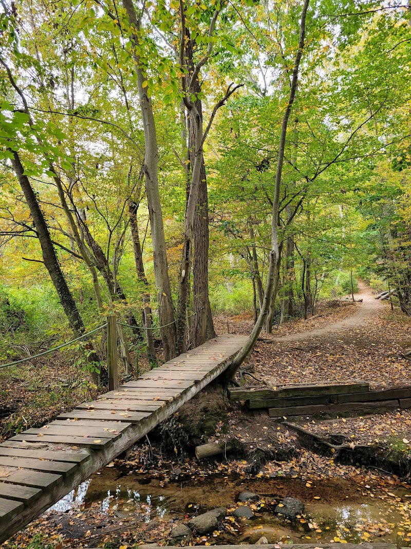 Cold Spring Harbor State Park photo 4