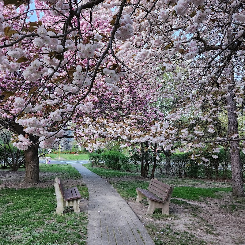 Cold Spring Tiny Tots Park photo 3