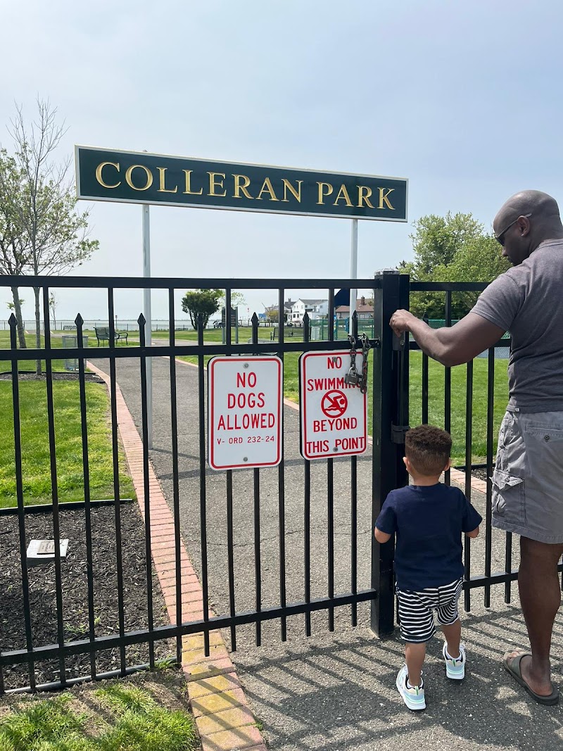 Colleran Park photo 3