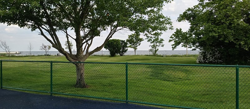 Colleran Park photo 5