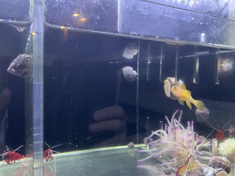 Complete Aquarium photo 3