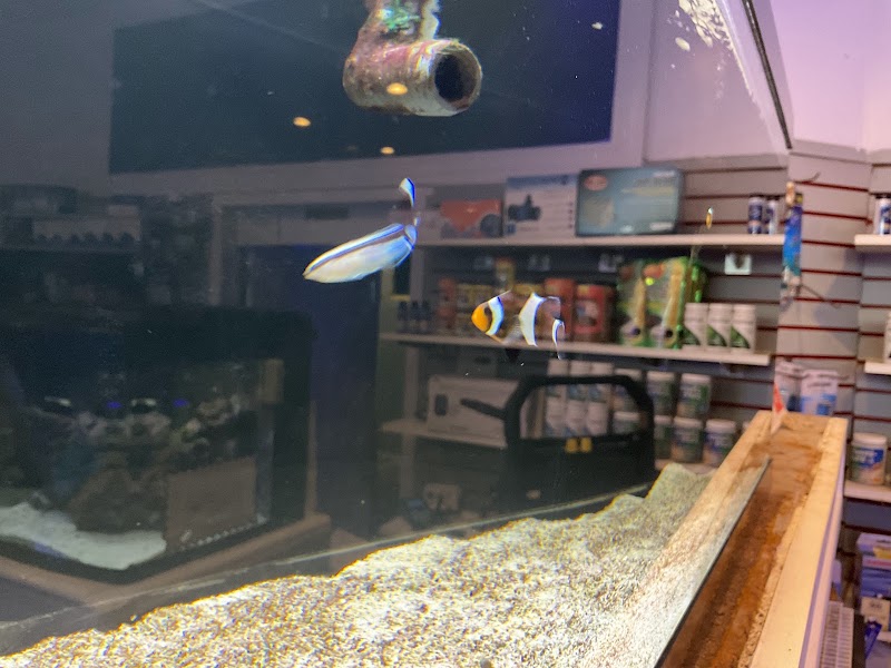 Complete Aquarium photo 5