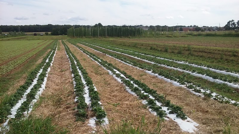 Condzella's Farm photo 2