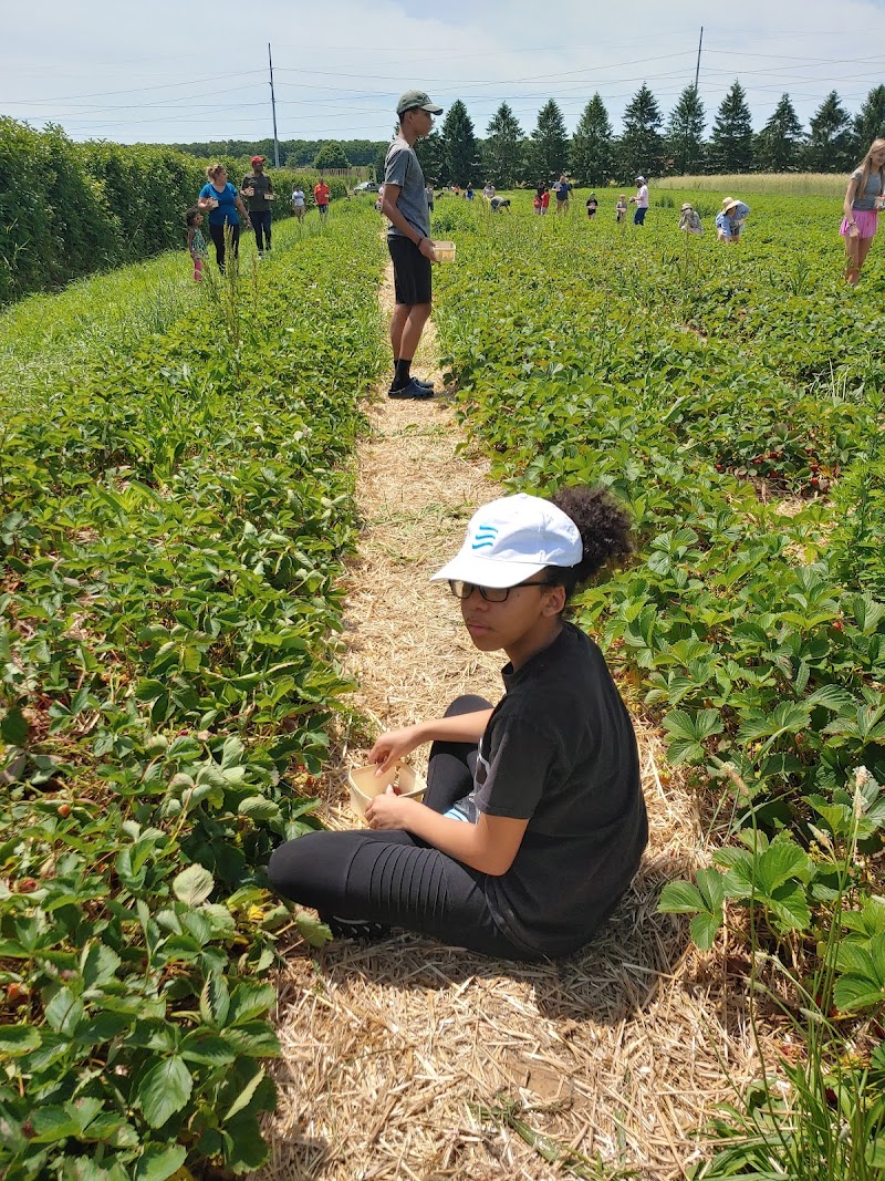 Condzella's Farm photo 5