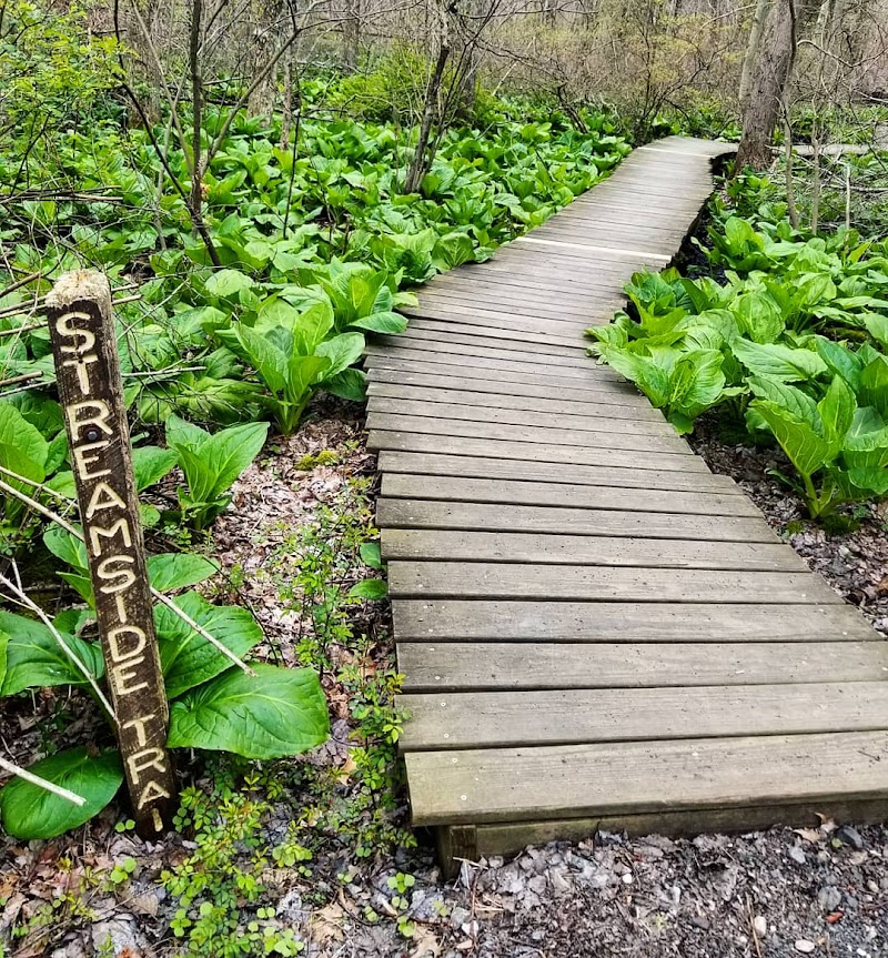 Connecticut Audubon Society photo 3