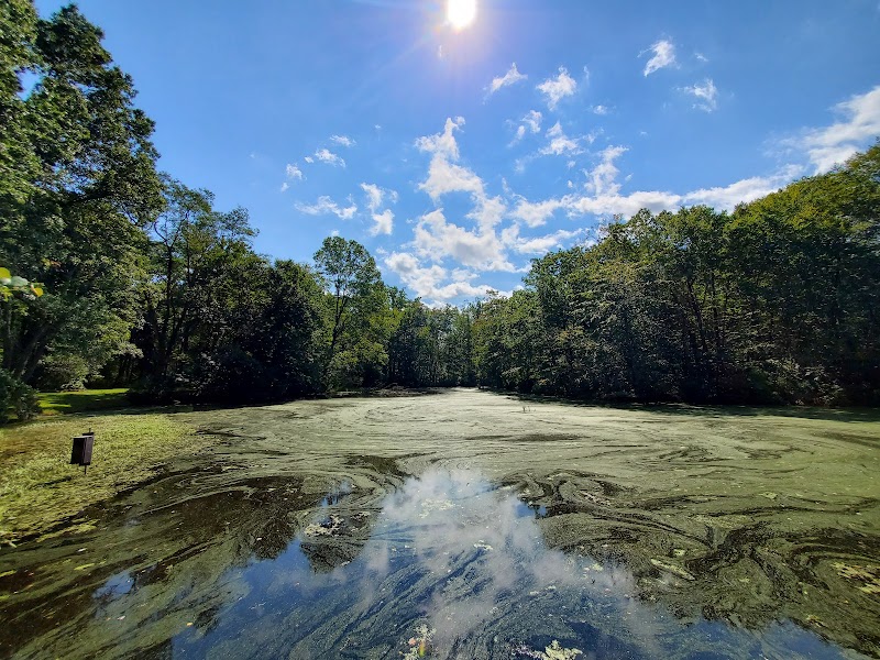 Connecticut Audubon Society photo 4