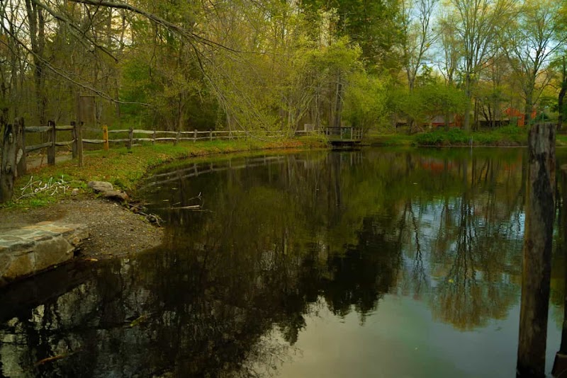 Connecticut Audubon Society photo 5