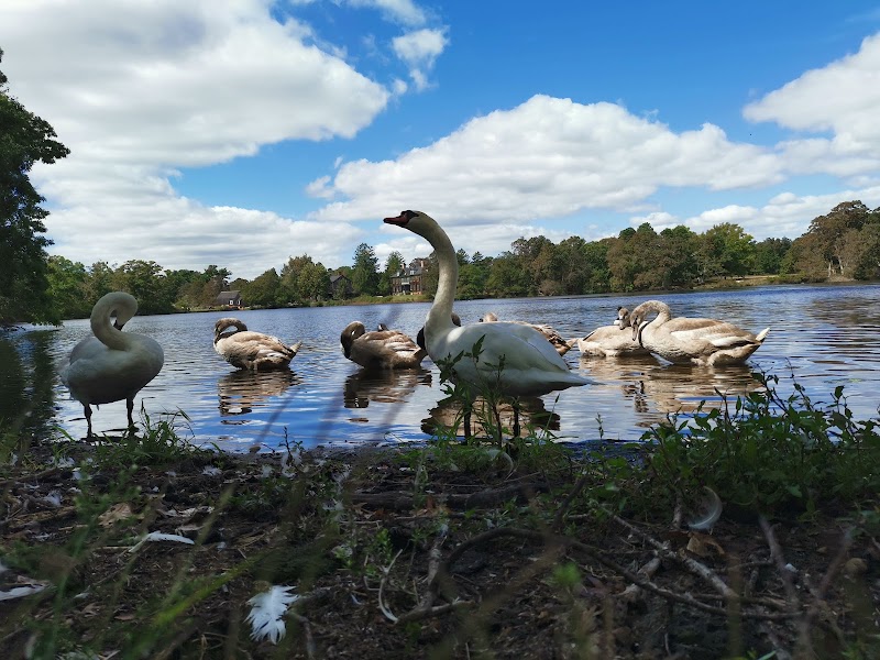 Connetquot Hatchery photo 3