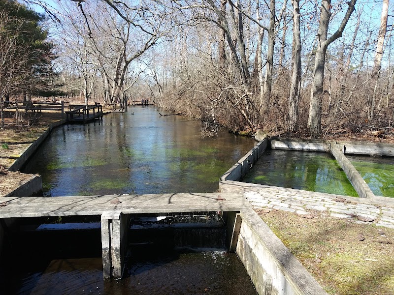 Connetquot Hatchery photo 4
