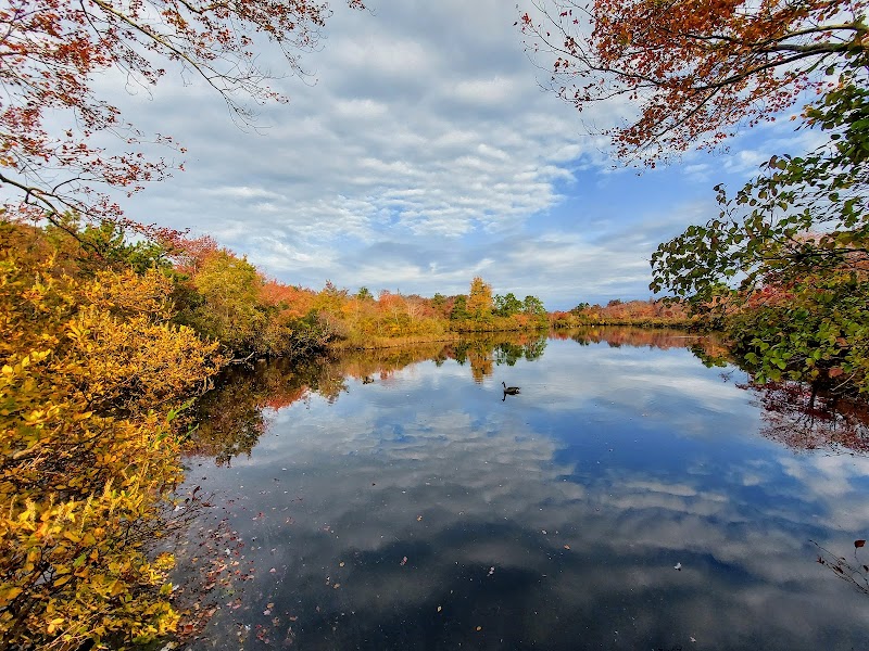 Connetquot River State Park Preserve photo 5