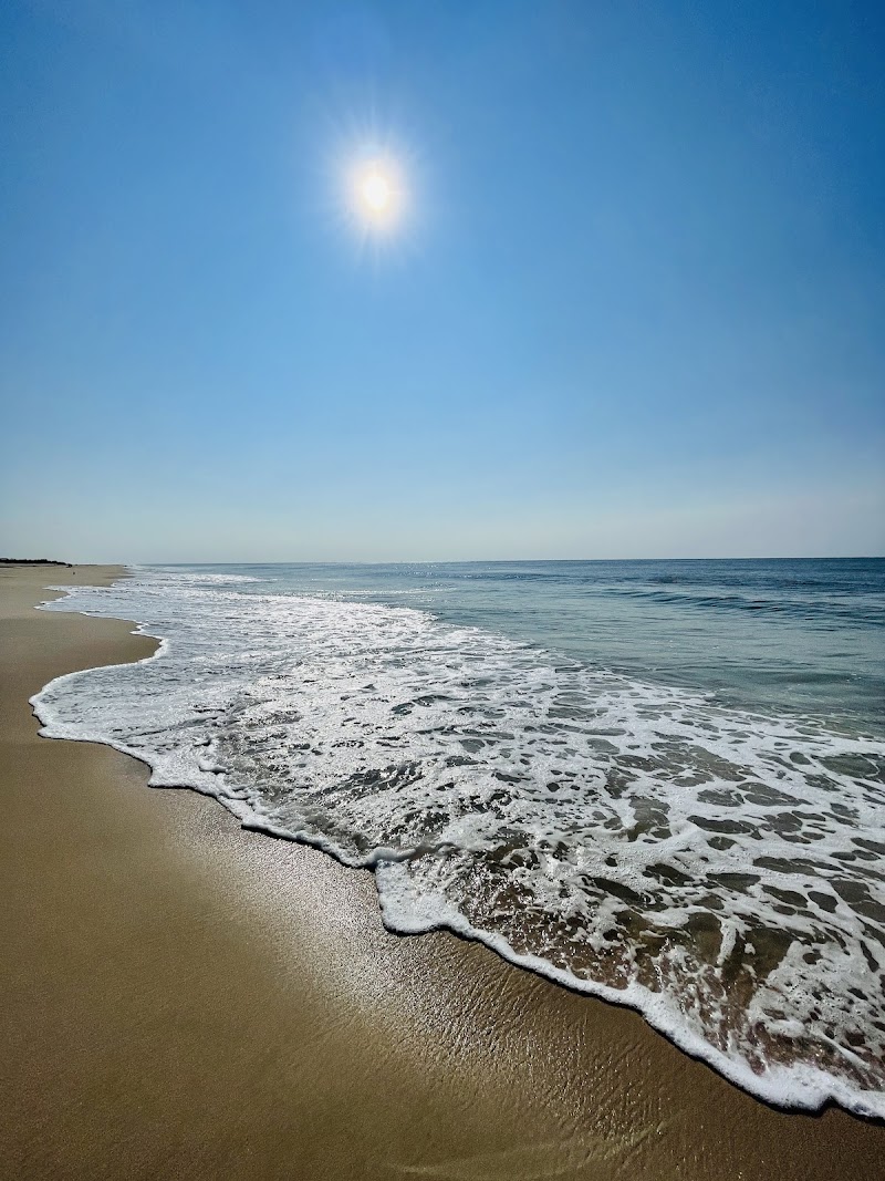 Cooper's Beach photo 4