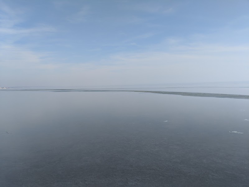 Corey Beach photo 3
