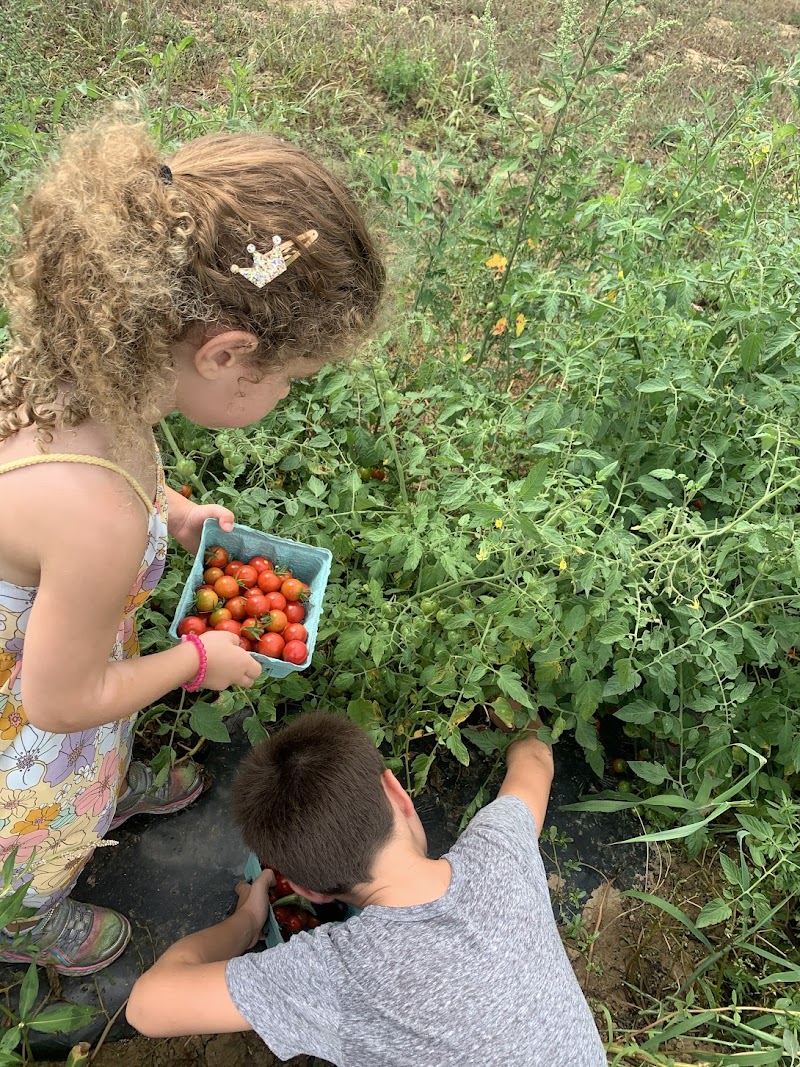 Corwith’s Farmstand photo 4