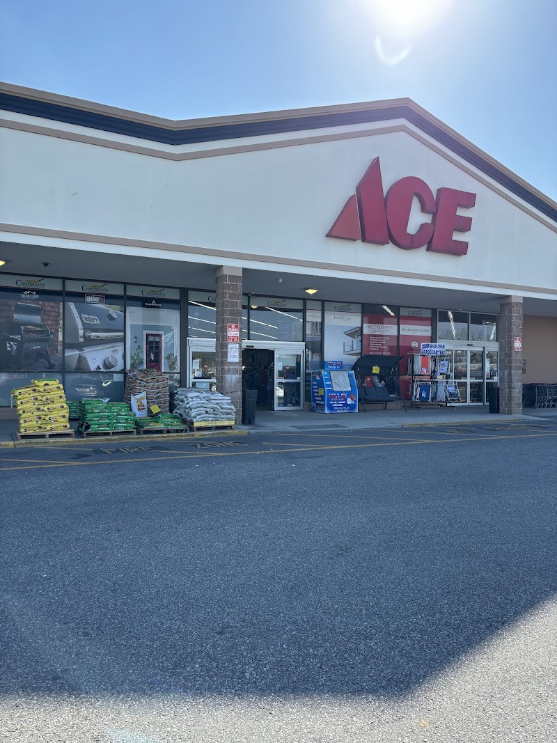 Costello's Ace Hardware of Island Park photo 1