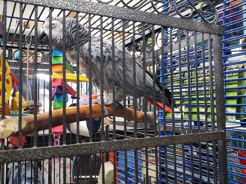 Country Critters Ltd photo 2