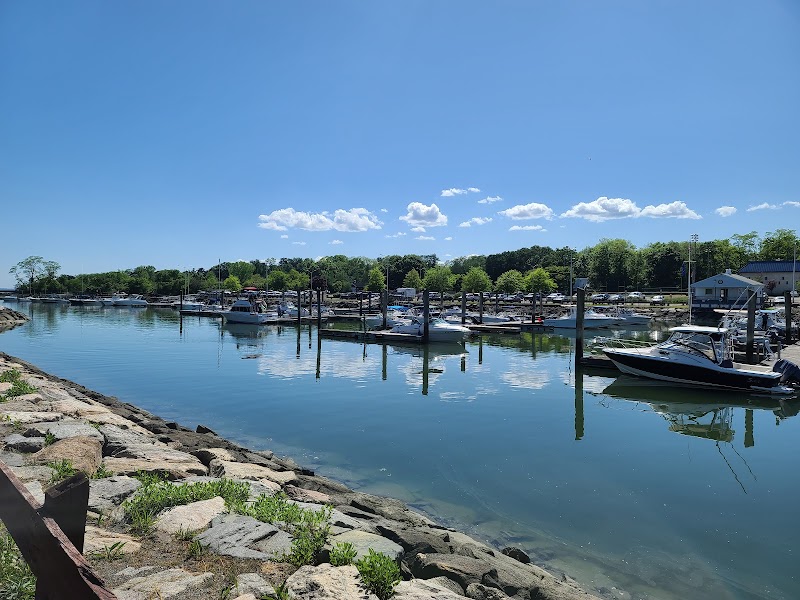 Cove Beach North photo 5
