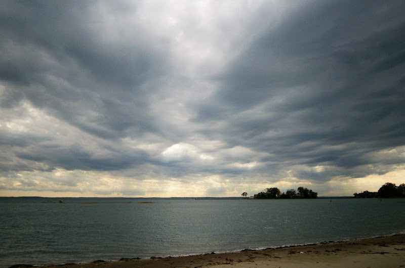 Cove Island Wildlife Sanctuary photo 5