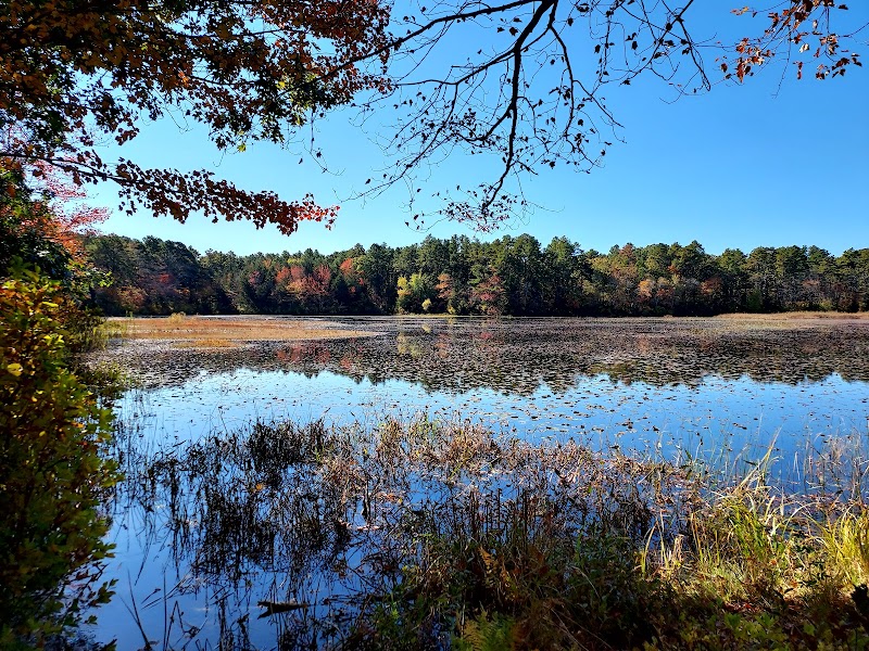 Cranberry Bog Nature Preserve photo 1
