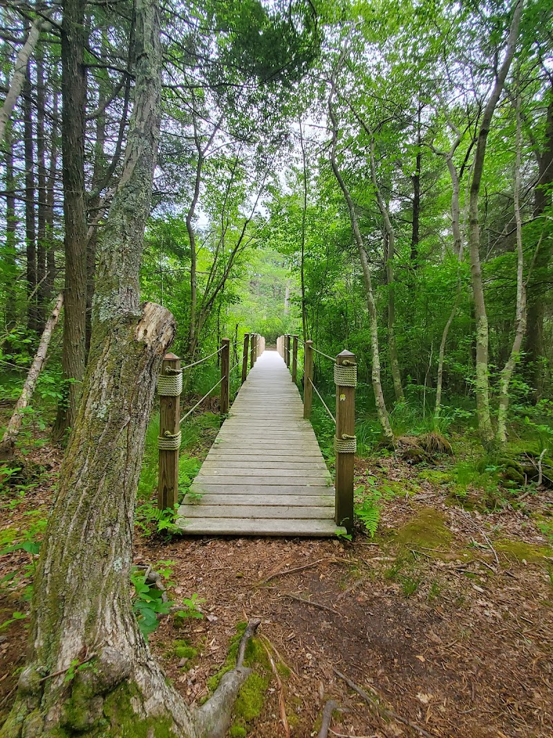 Cranberry Bog Nature Preserve photo 2