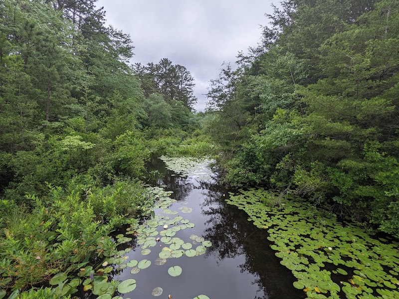 Cranberry Bog Nature Preserve photo 3
