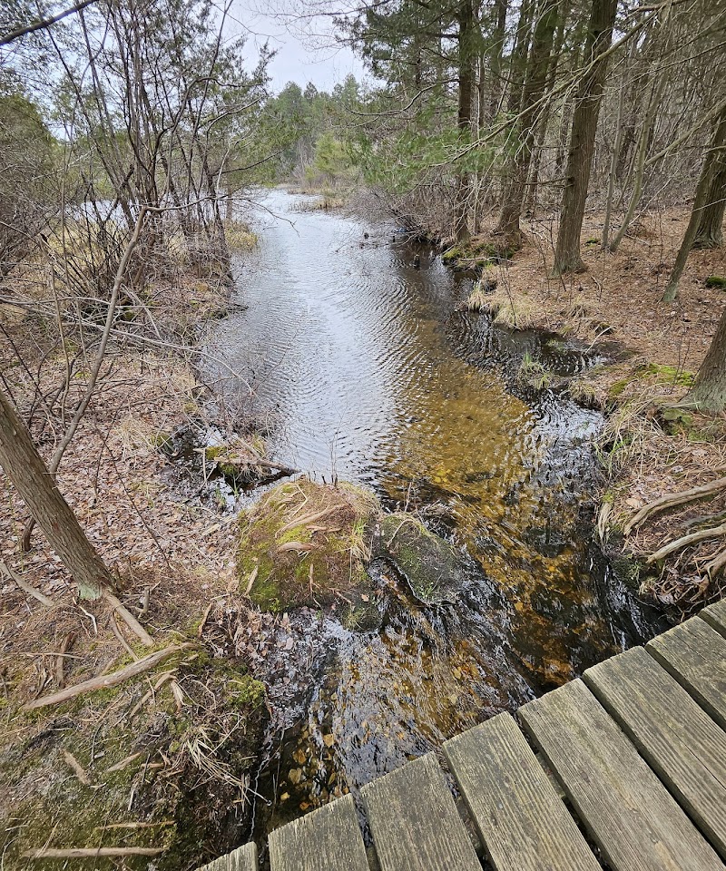 Cranberry Bog Nature Preserve photo 4