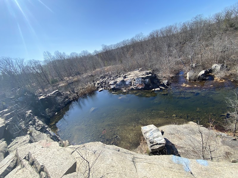 Cranberry Lake Preserve photo 2