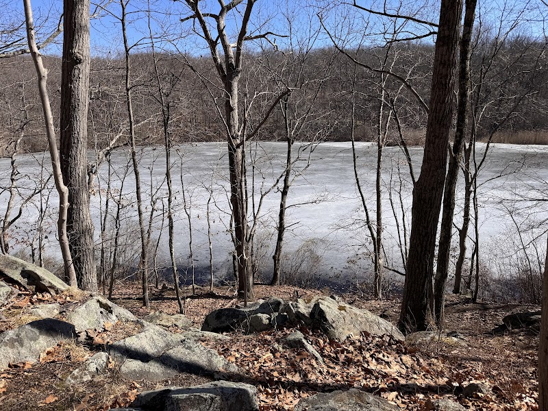 Cranberry Lake Preserve photo 3