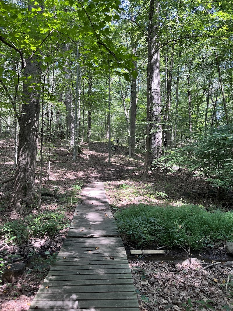 Cranberry Lake Preserve photo 4