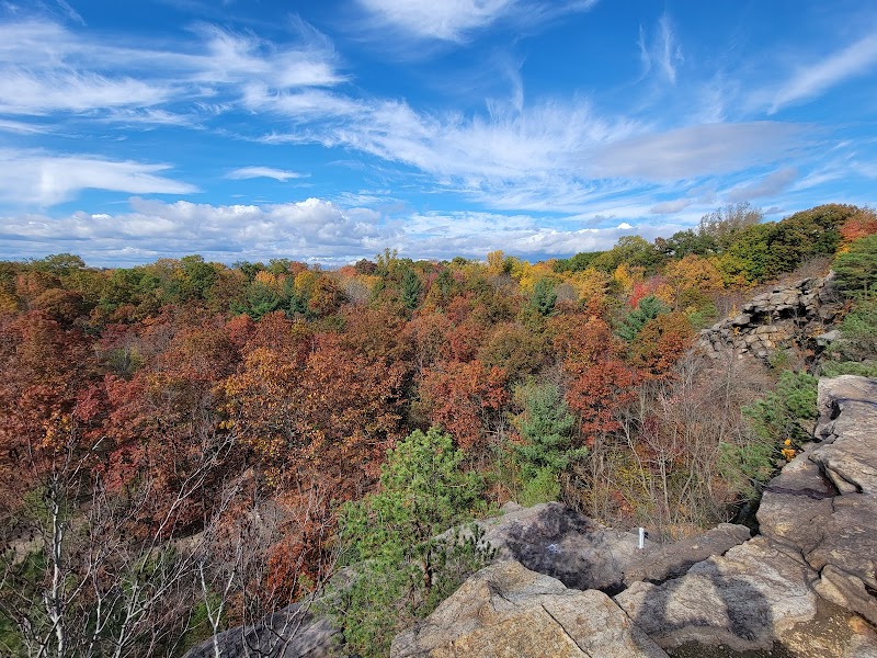 Cranberry Lake Preserve photo 5