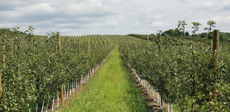 Crist Bros Orchards, Inc. photo 5