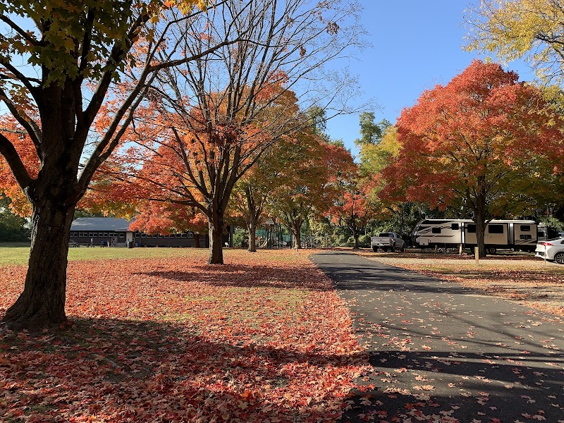 Croton Point Nature Center photo 4